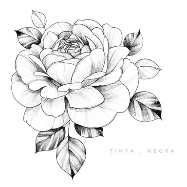 •• Ma fleur préférée, une rose « Queen of Sweden » pour le tatouage de Kim •• #queenofsweden #sketchtattoo #procreate #tintanegratatouages #blackworkers  #inkedgirls #bordeauxtattoo #finelinetattoo