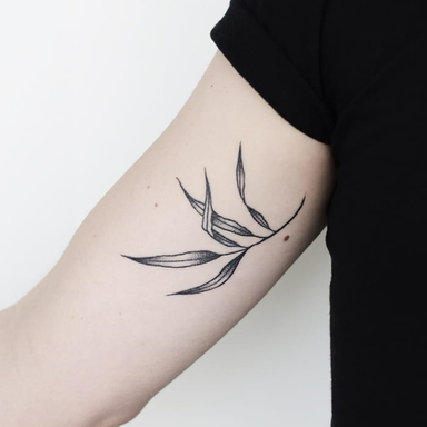 Merci mon amour pour ce premier tatouage, vivement la suite 😄
#laurierrose #blackwork #tattoobotanical #tintanegra