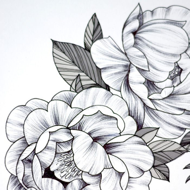 Détails ○● Peonies ●○
#illustratrice #art #tattoo #black #peonies #flowers #draw #dessin