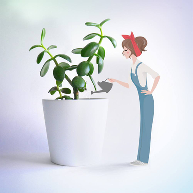 Prendre soin de ses plantes, un vrai challenge ! Avez-vous la main verte ?
#illustration #photographisme #illustratrice #dessin #plante #crassula #succulent #character