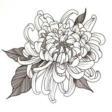 ♧ Chrysanthème ♧
#chrysantheme #art #tattoo #fineline #black #illustratrice #flowers