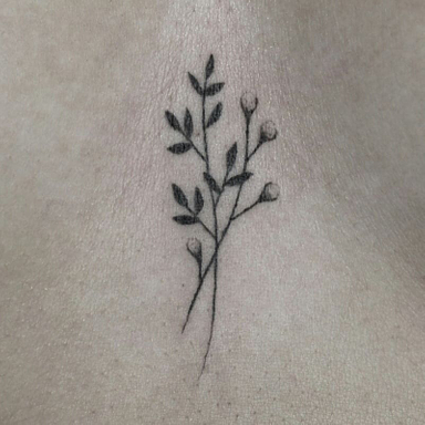 @kim.jsl s'est fait tatouer une série de petits tatouages. Voici la double branche qui décore sa poitrine.
Merci pour ta confiance et la chouette photo que tu m'as partagée 😘
#tintanegratatouages #underboobtattoo #tattoobotanical #tattoobordeaux #bordeauxmaville #blackwork #fineline
