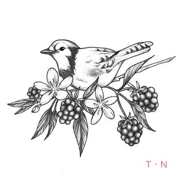 • L'oiseau du mûrier •
#illustrationtattoo #tattooanimal #illustration #projet2018